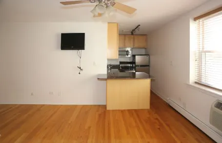 Studio Lincoln Park Apartment
