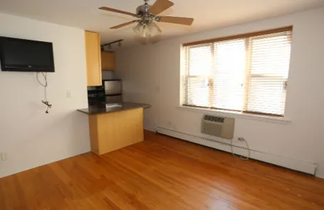 Studio Lincoln Park Apartment