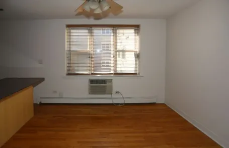 Studio Lincoln Park Apartment