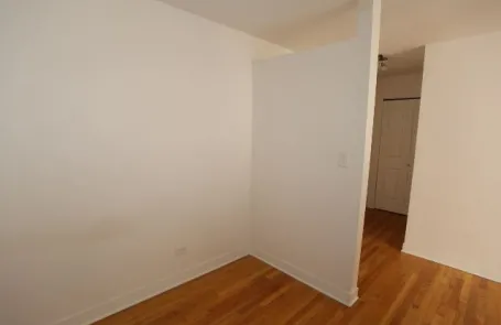 Studio Lincoln Park Apartment