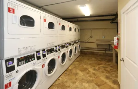 Studio Lincoln Park Apartment