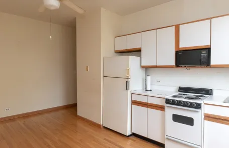 1 Bedroom Lakeview Apartment