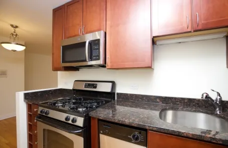 1 Bedroom Lincoln Park Apartment