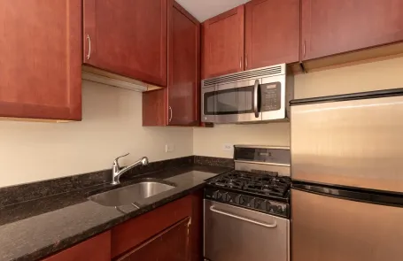 Studio Lincoln Park Apartment