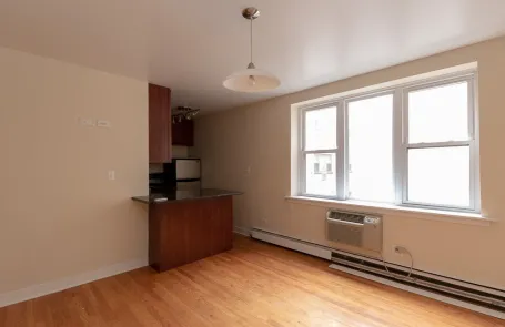 Studio Lincoln Park Apartment