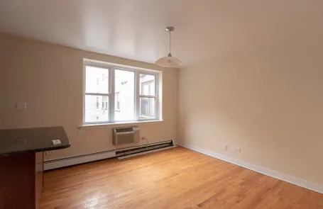Studio Lincoln Park Apartment