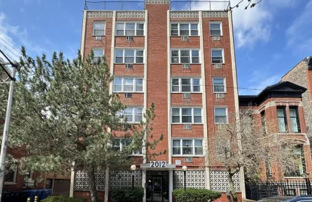 1 Bedroom Lincoln Park Apartment