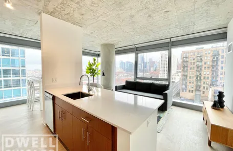3 Bedroom South Loop Apartment