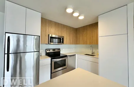 1 Bedroom Lincoln Park Apartment