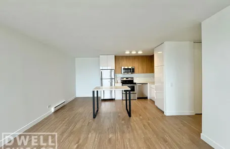 1 Bedroom Lincoln Park Apartment