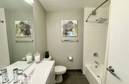 1 Bedroom Lincoln Park Apartment