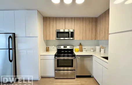 1 Bedroom Lincoln Park Apartment