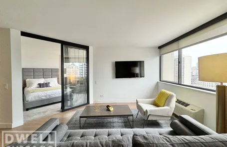 1 Bedroom Lincoln Park Apartment