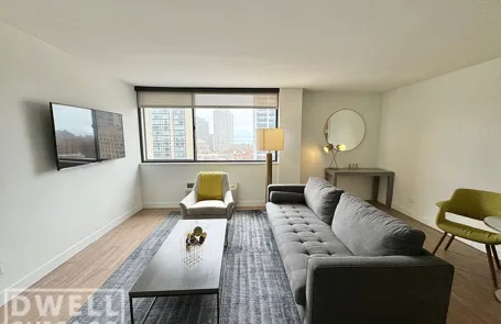 1 Bedroom Lincoln Park Apartment