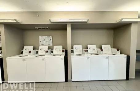 1 Bedroom Lincoln Park Apartment