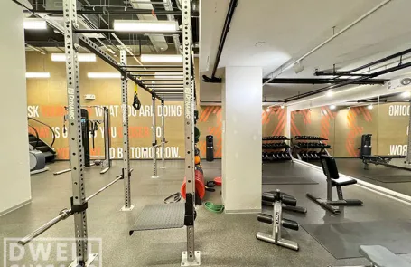 1 Bedroom Lincoln Park Apartment