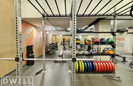 1 Bedroom Lincoln Park Apartment