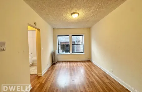 Studio Humboldt Park Apartment