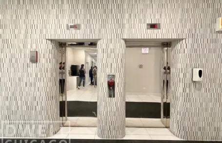 1 Bedroom Lincoln Park Apartment