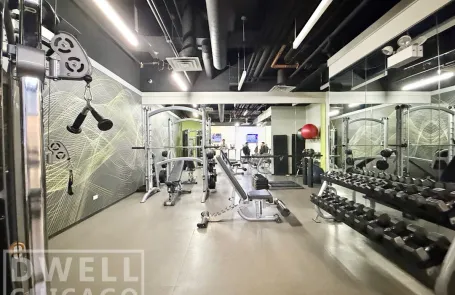 1 Bedroom Lincoln Park Apartment