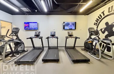 1 Bedroom Lincoln Park Apartment