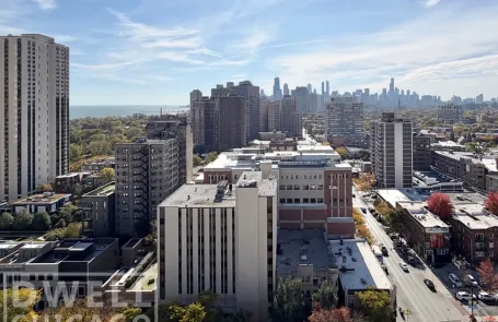 1 Bedroom Lincoln Park Apartment