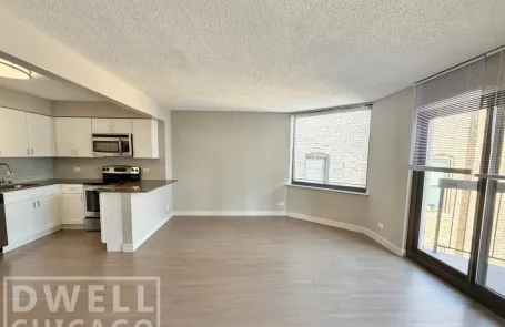 1 Bedroom Lincoln Park Apartment