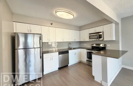 1 Bedroom Lincoln Park Apartment