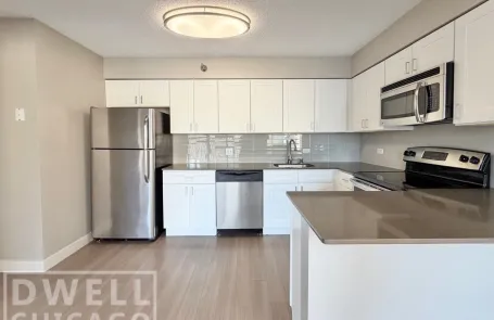 1 Bedroom Lincoln Park Apartment