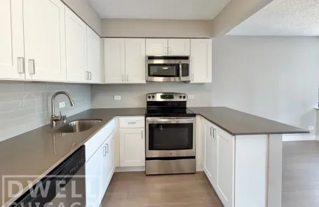 1 Bedroom Lincoln Park Apartment