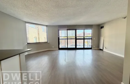 1 Bedroom Lincoln Park Apartment