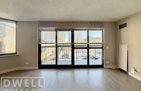 1 Bedroom Lincoln Park Apartment