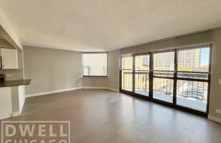1 Bedroom Lincoln Park Apartment