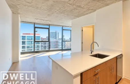 1 Bedroom South Loop Apartment