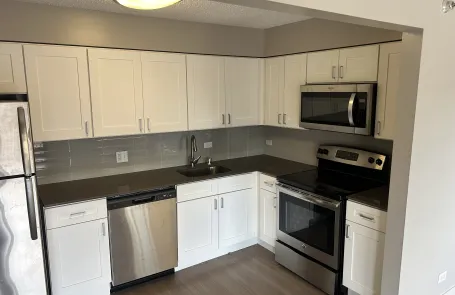 2 Bedroom Lincoln Park Apartment
