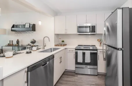 Studio Lakeshore East Apartment
