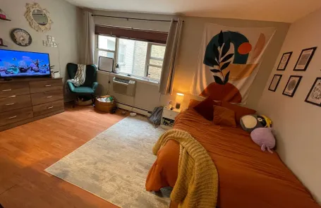 Studio Lakeview Apartment