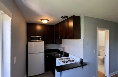 Studio Lakeview Apartment