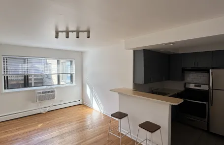 Studio Rogers Park Apartment