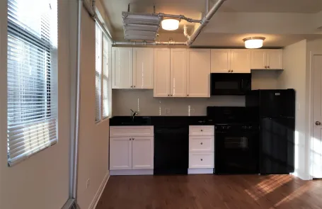 1 Bedroom Lakeview Apartment
