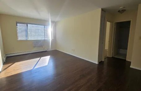 1 Bedroom Lincoln Park Apartment
