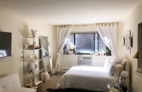 Studio Lakeview Apartment