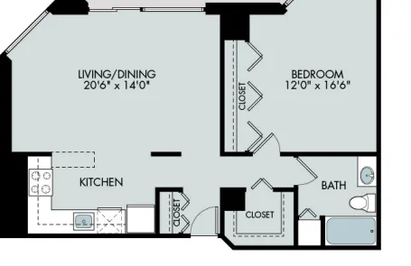 1 Bedroom Lincoln Park Apartment