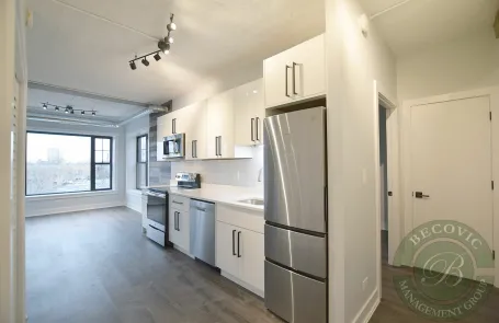 2 Bedroom Rogers Park Apartment