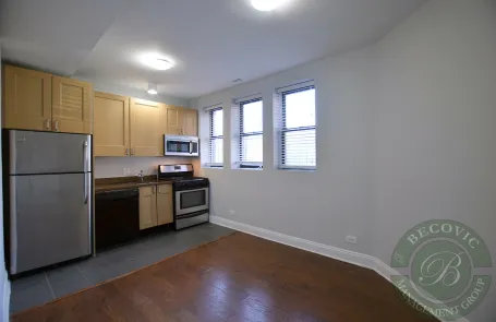 1 Bedroom Rogers Park Apartment