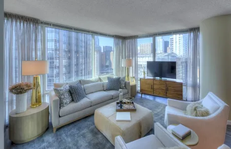 1 Bedroom Streeterville Apartment
