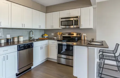 1 Bedroom Lincoln Park Apartment