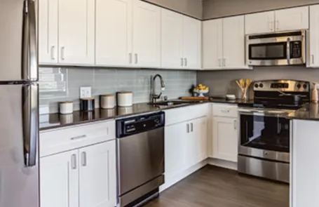 2 Bedroom Lincoln Park Apartment