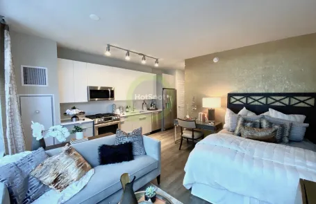 Studio South Loop Apartment