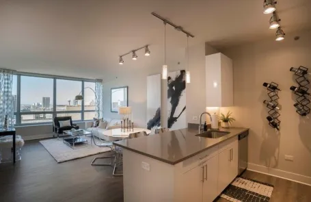 1 Bedroom South Loop Apartment